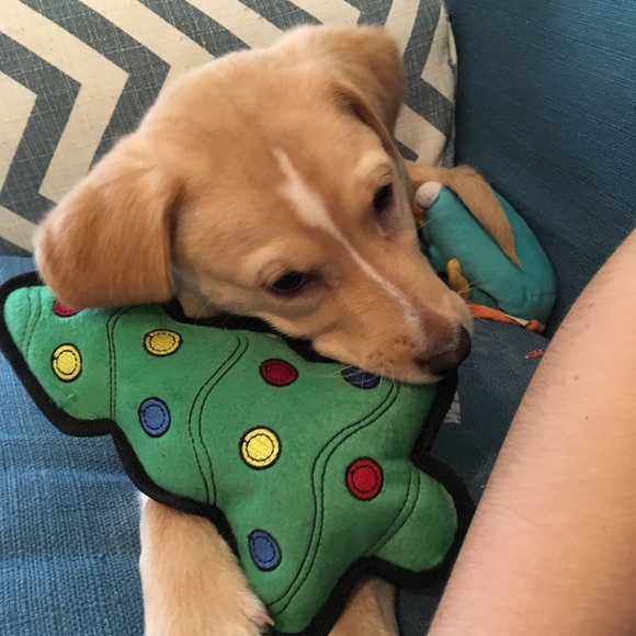 Meet your Posher, Megan - Picture 7 of 8